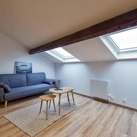 Le Dhalia Proche Centre Et Place Stan Apartment *